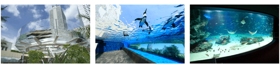 サンシャイン水族館